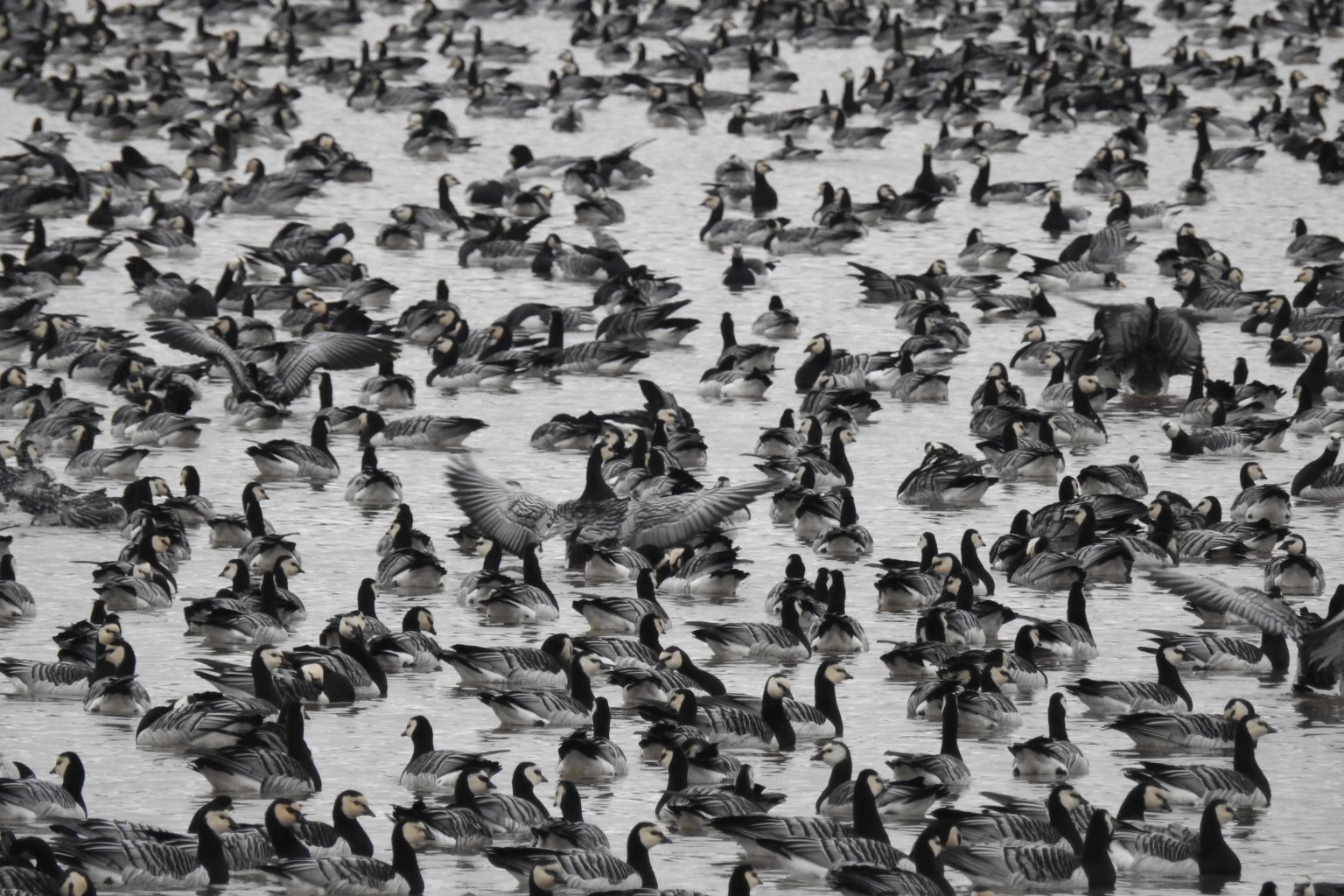 Valokuvaaja: Maarit Siitonen