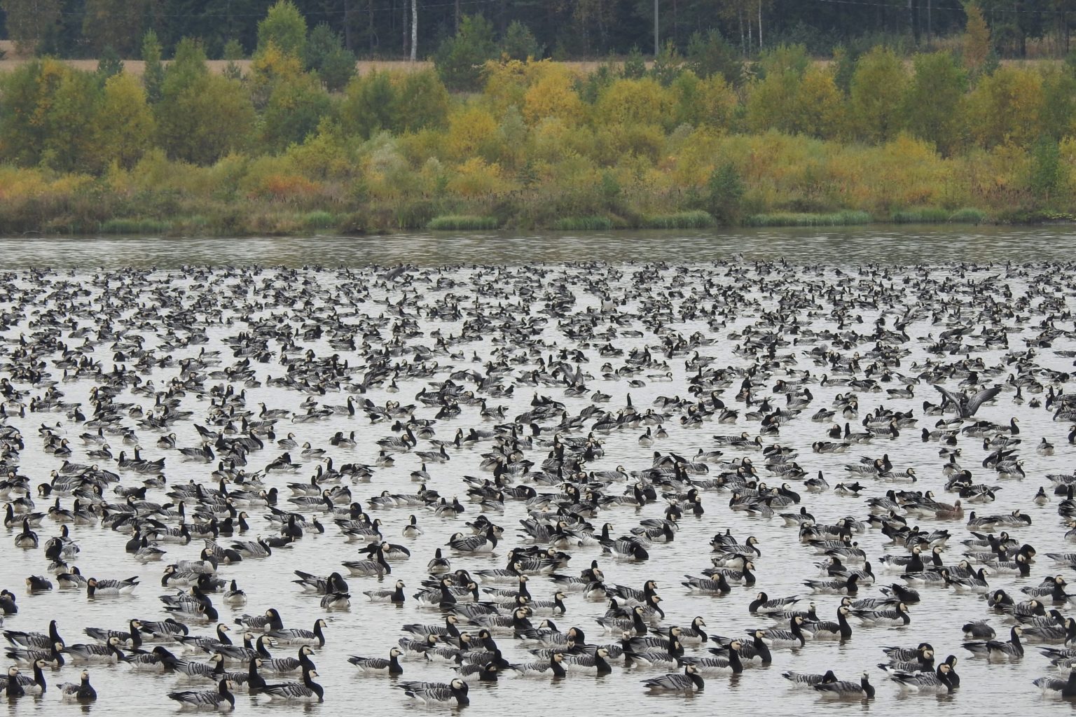 Valokuvaaja: Maarit Siitonen