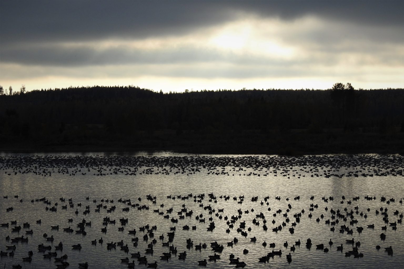 Valokuvaaja: Maarit Siitonen