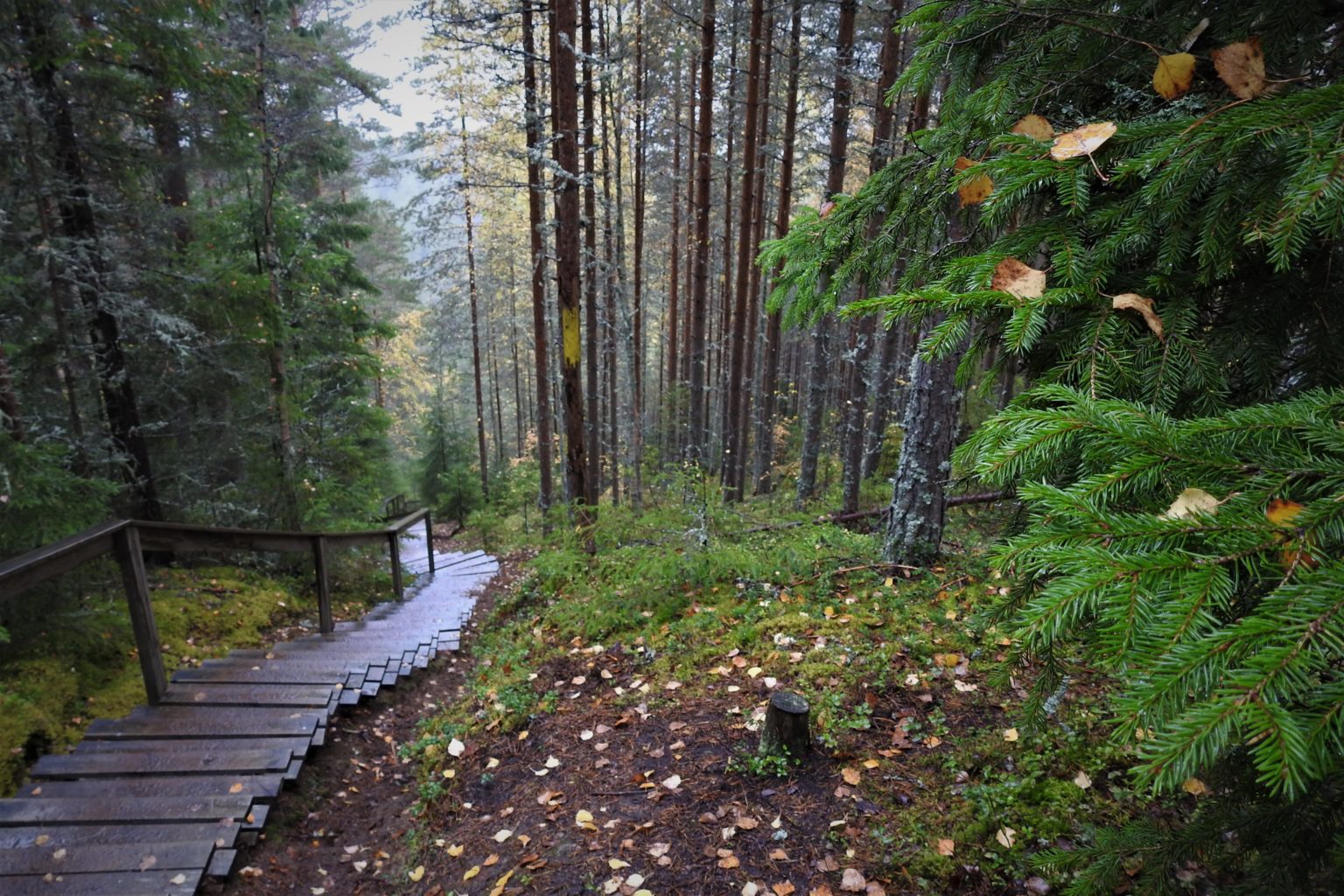 Valokuvaaja: Maarit Siitonen