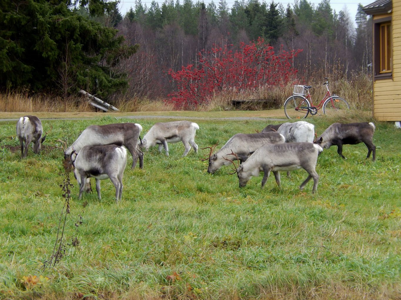 Valokuvaaja: Pirkko Siukonen