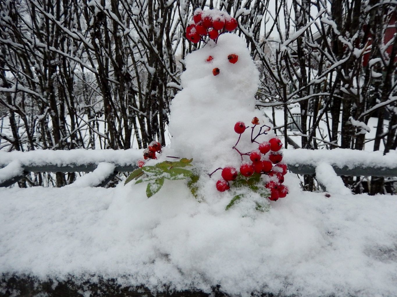 Valokuvaaja: Pirkko Siukonen