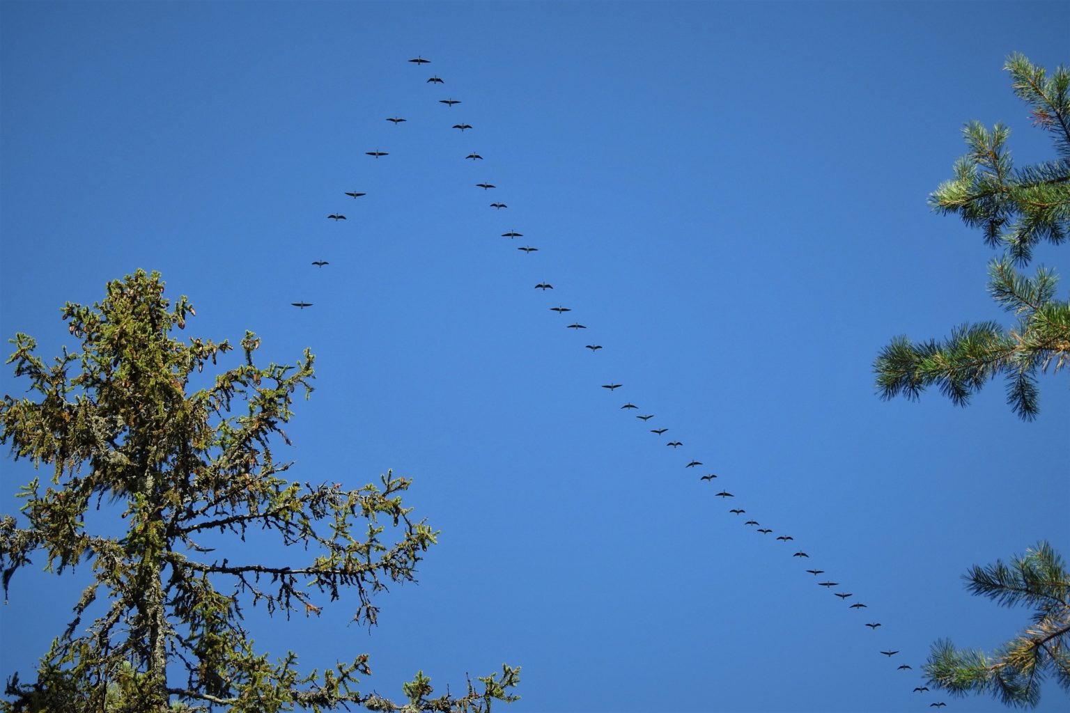 Valokuvaaja: Maarit Siitonen