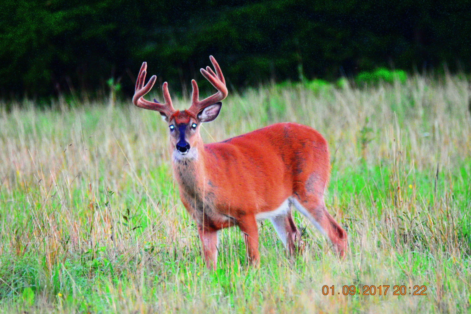 Valokuvaaja: Milja Pakkala