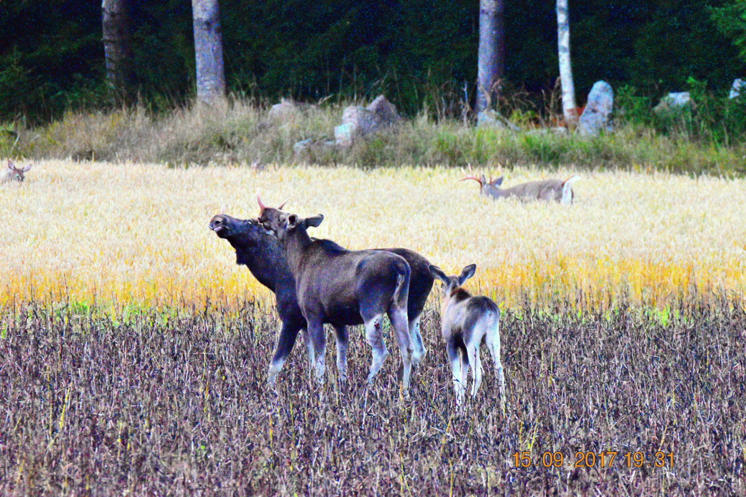 Valokuvaaja: Milja Pakkala
