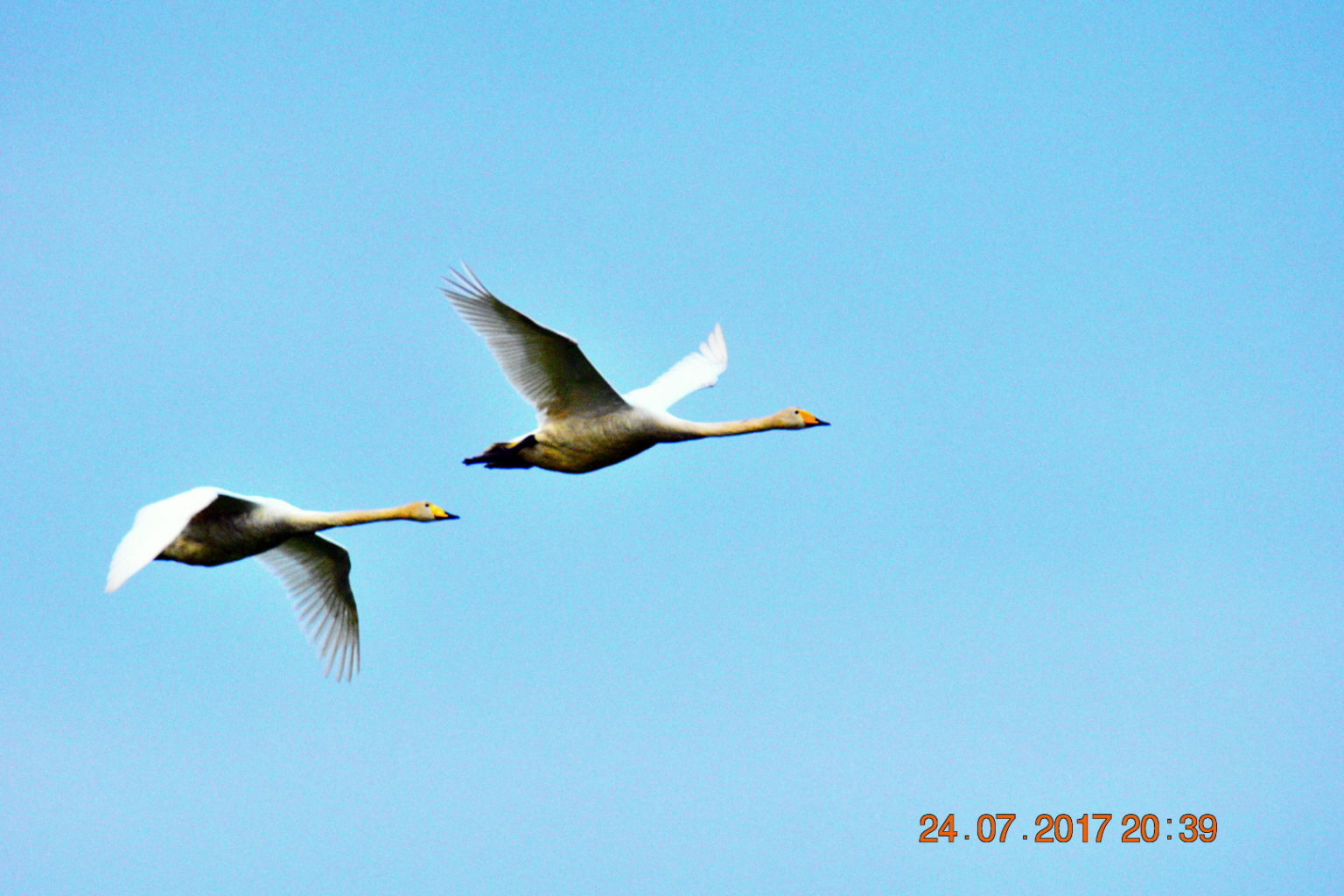 Valokuvaaja: Milja Pakkala