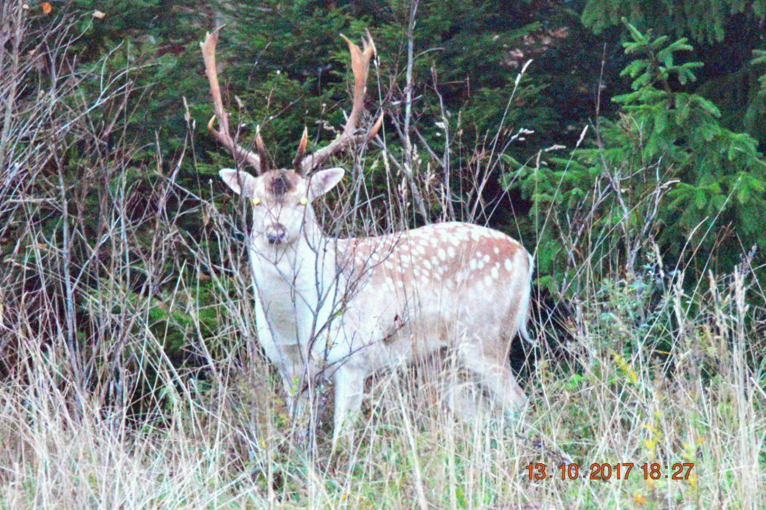 Valokuvaaja: Milja Pakkala