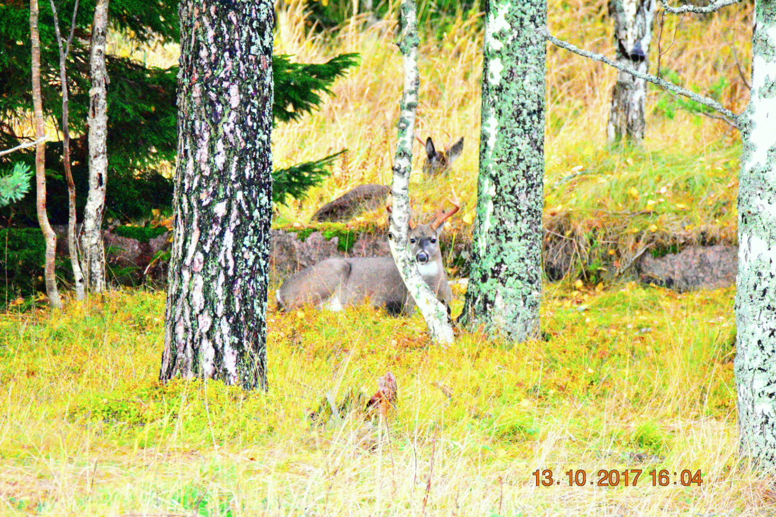 Valokuvaaja: Milja Pakkala