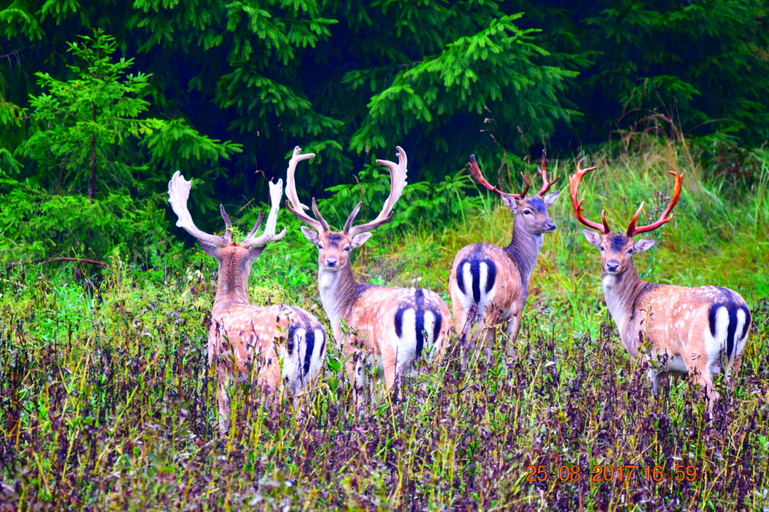 Valokuvaaja: Milja Pakkala