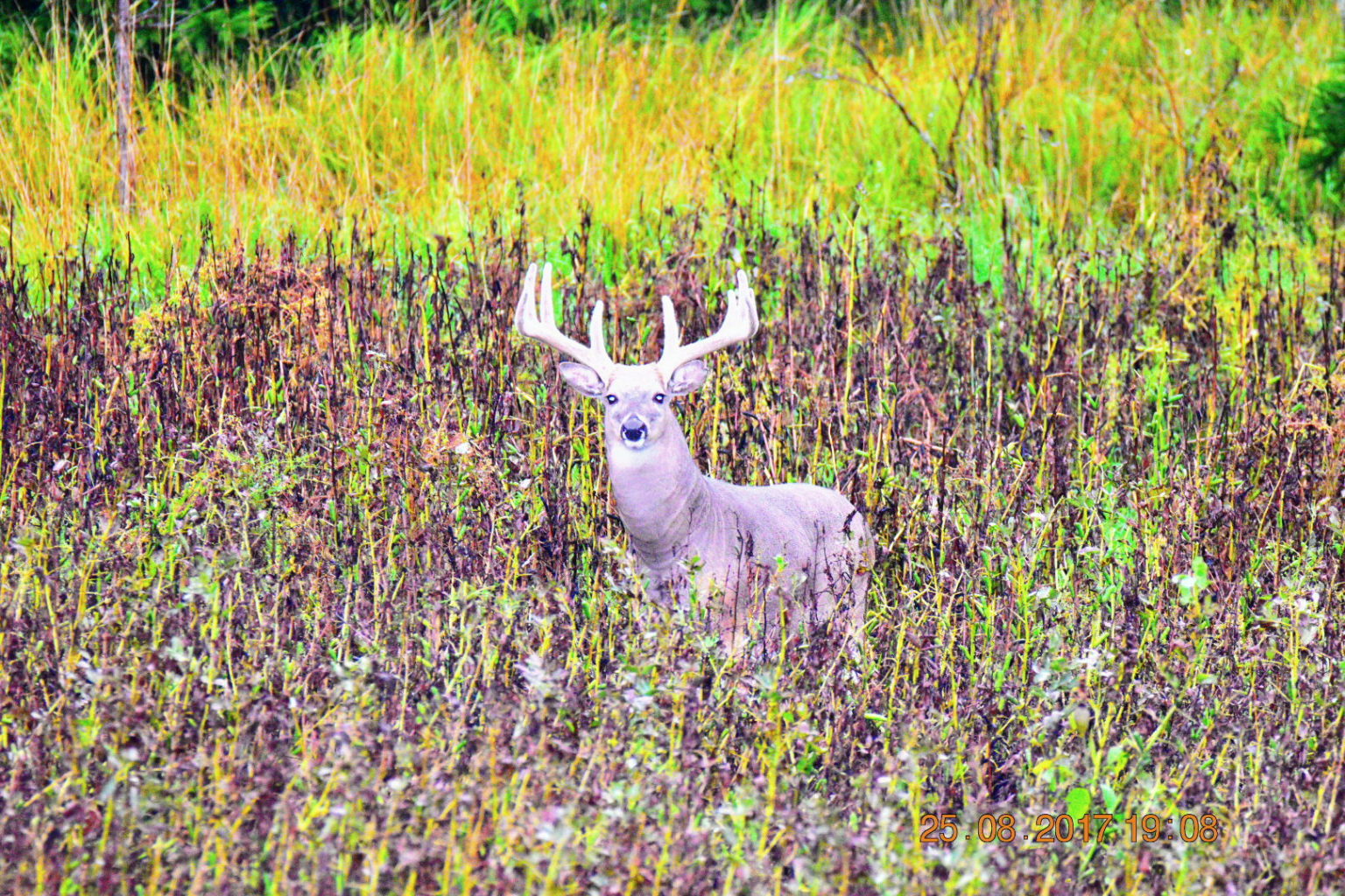 Valokuvaaja: Milja Pakkala