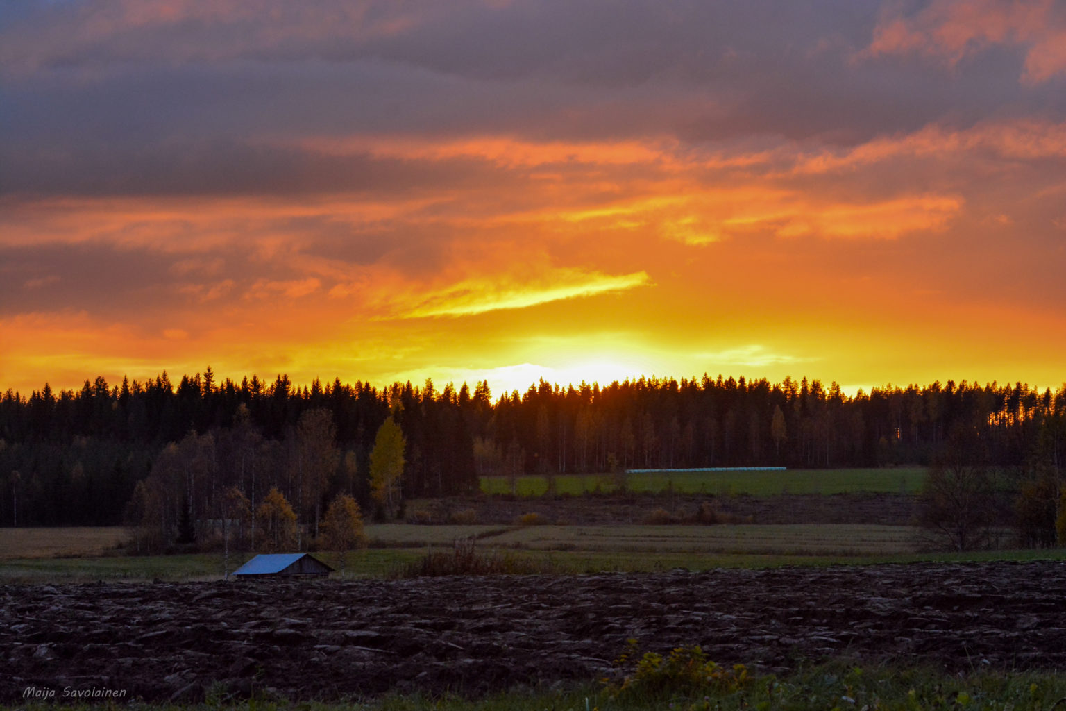 Valokuvaaja: MAIJA SAVOLAINEN