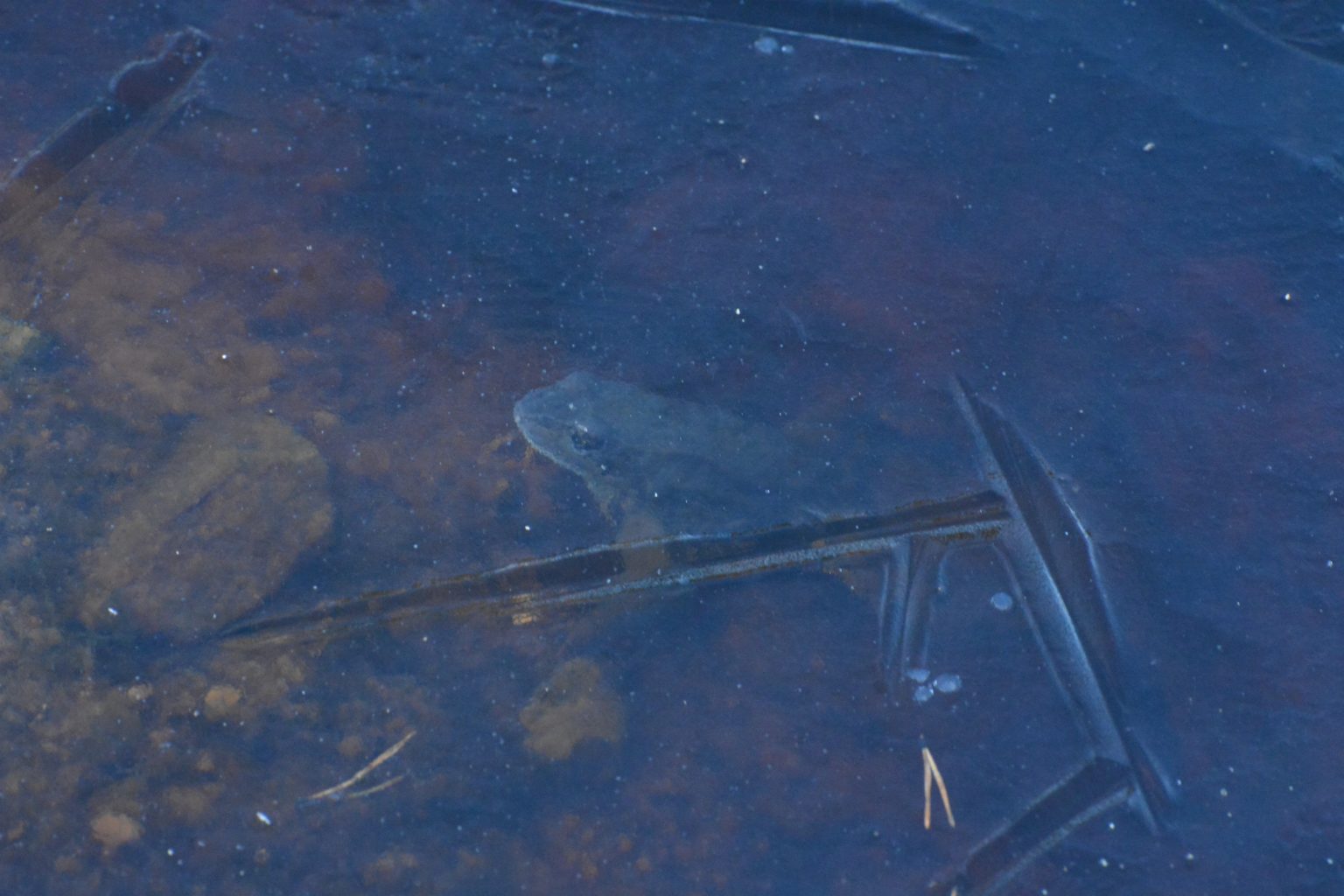 Valokuvaaja: Noora Andersson