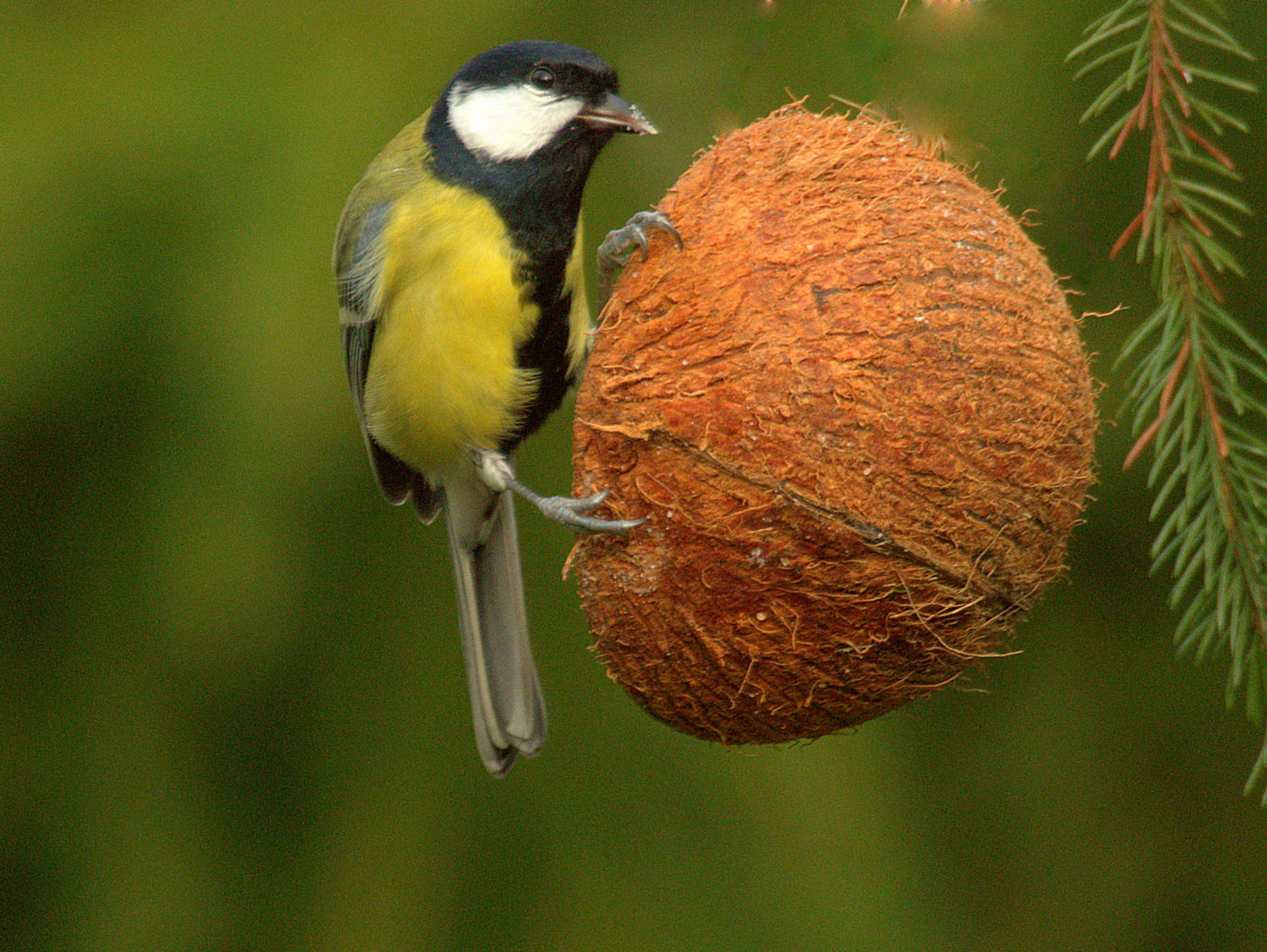Valokuvaaja: Sirpa Jyske