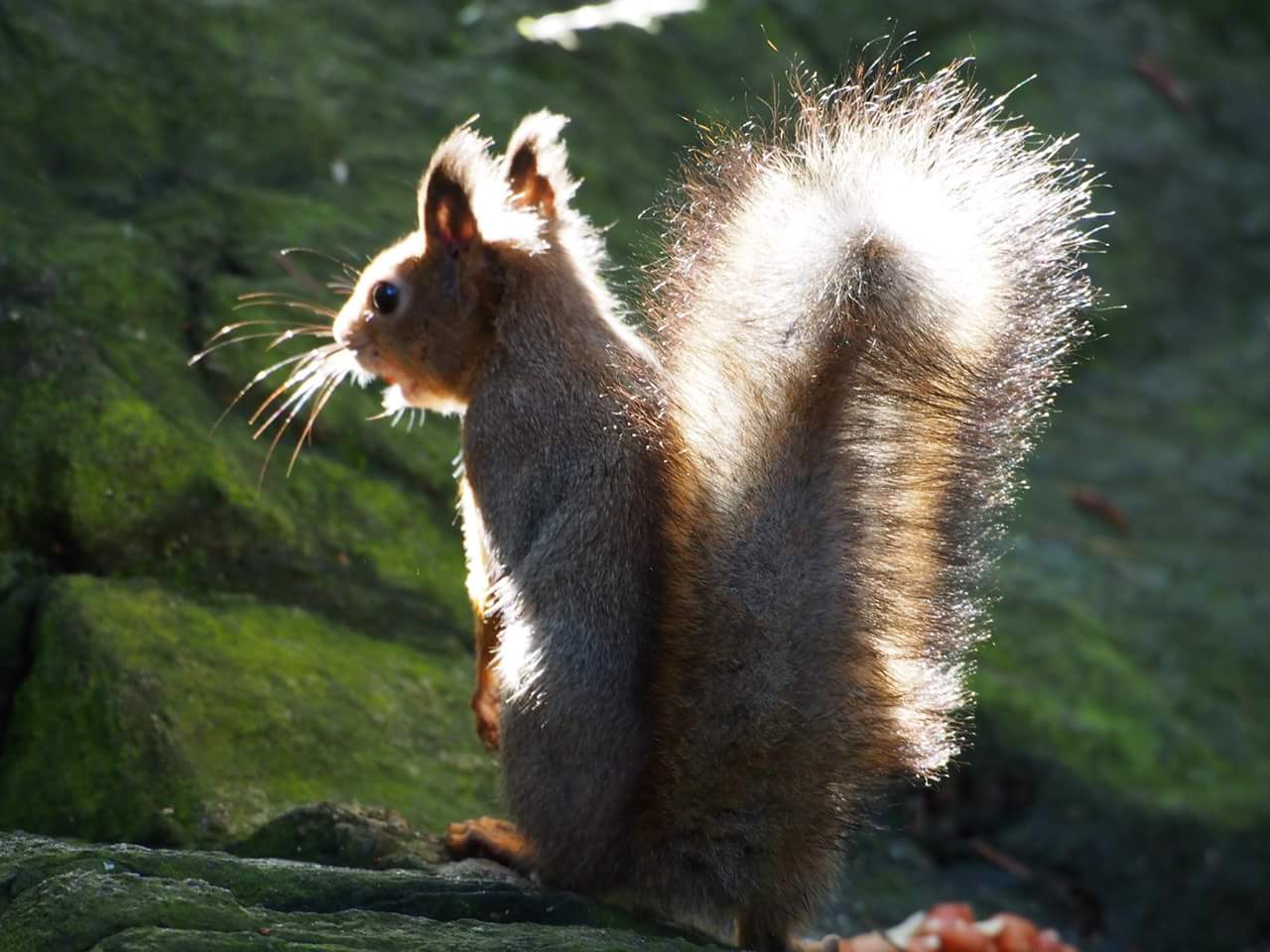 Valokuvaaja: Kuusisto Marja-Leena