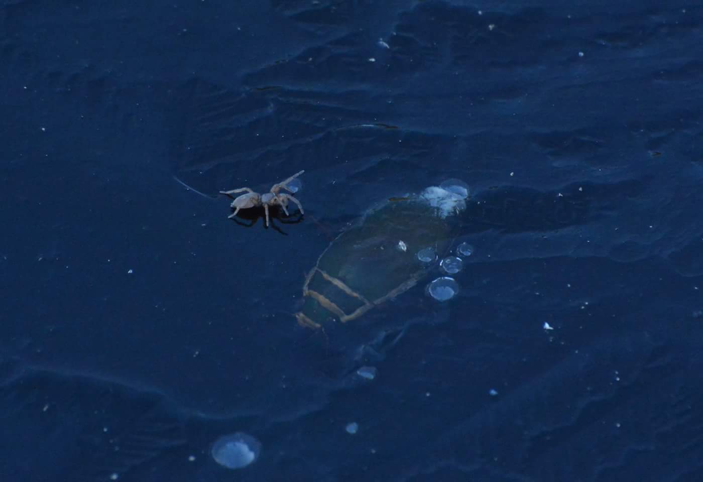 Valokuvaaja: Noora Andersson