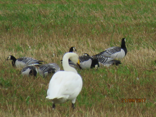 Valokuvaaja: Tuula Makkonen