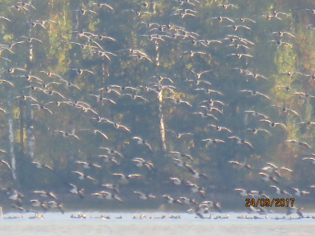 Valokuvaaja: Tuula Makkonen