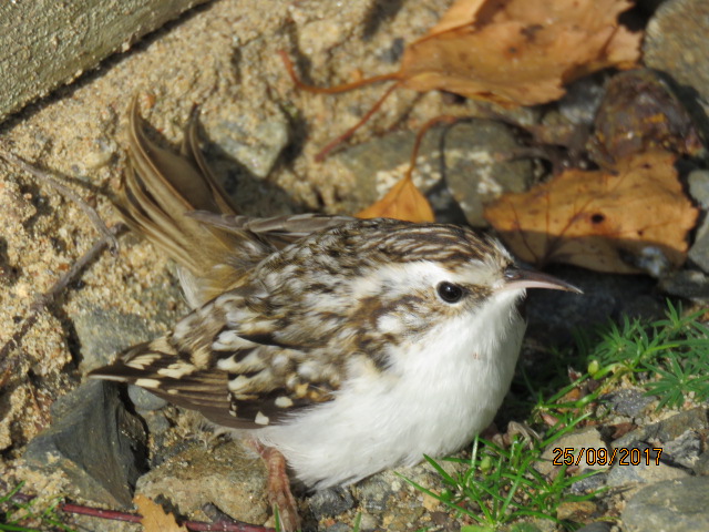 Valokuvaaja: Tuula Makkonen