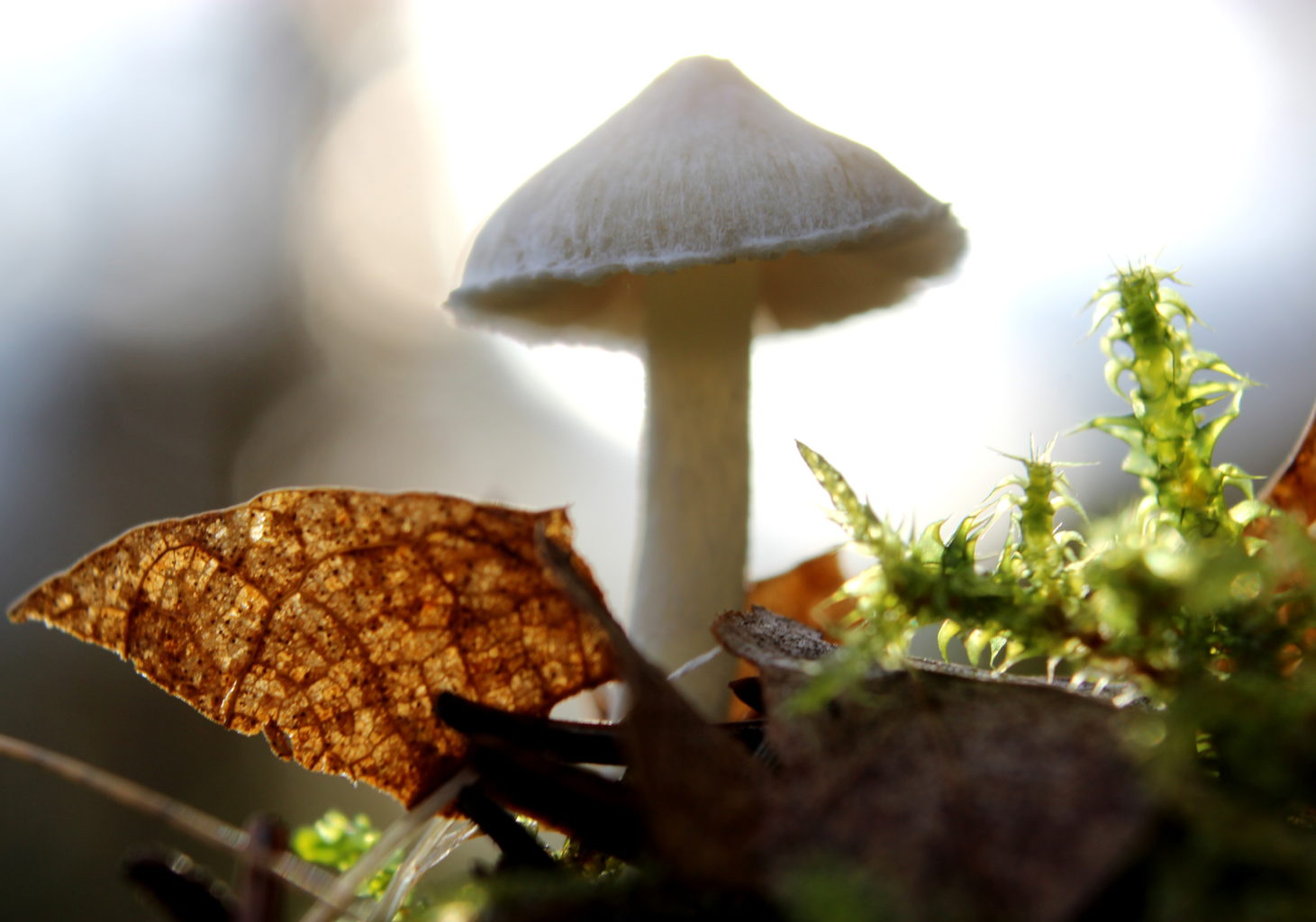 Valokuvaaja: Irja Lehtinen Valokuvaaja: Irja Lehtinen