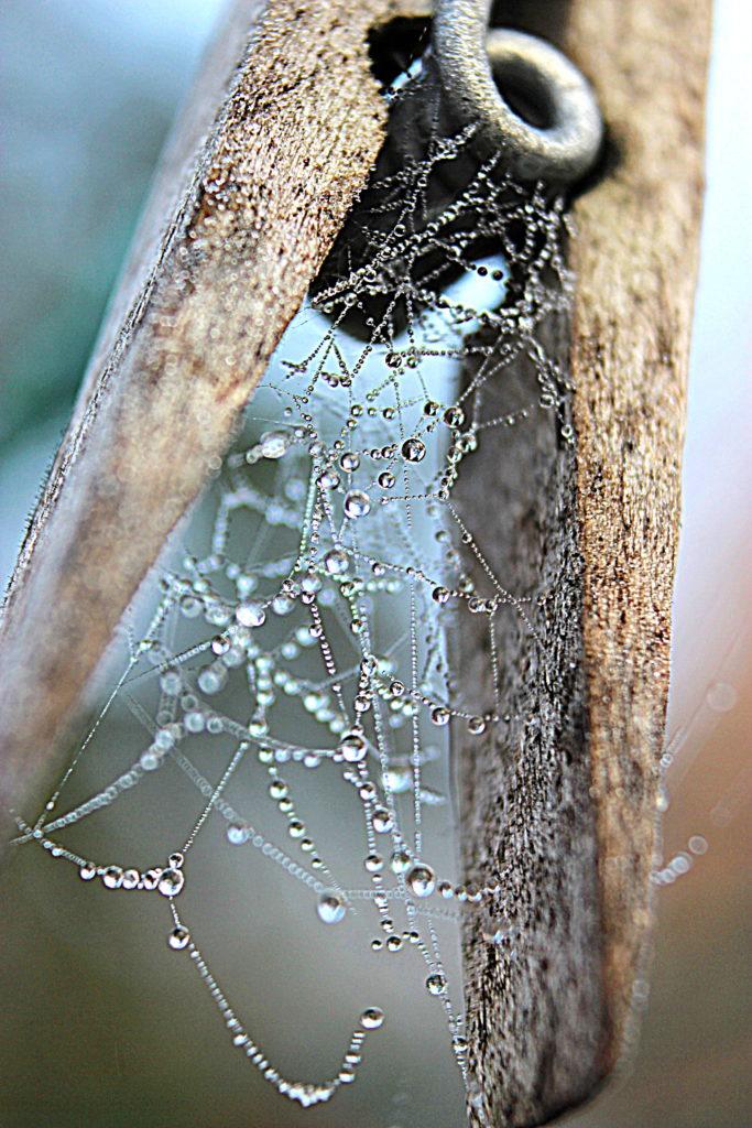 Valokuvaaja: Irja lehtinen