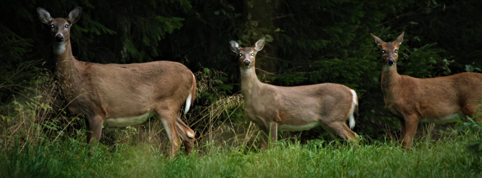 Valokuvaaja: Teija Vänttinen