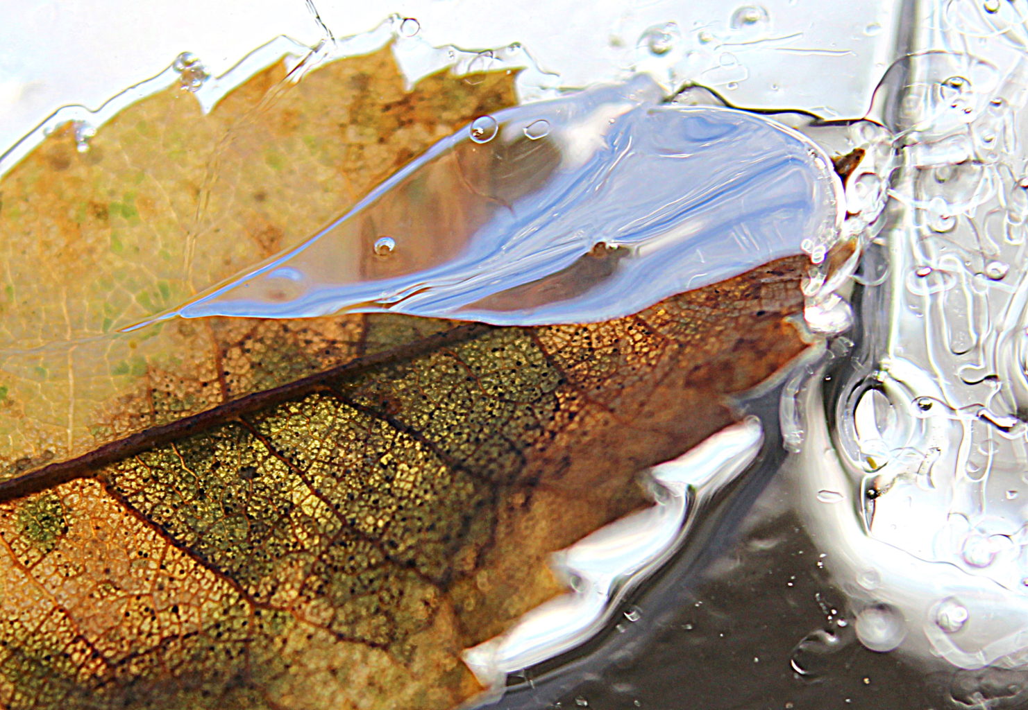 Valokuvaaja: Irja lehtinen