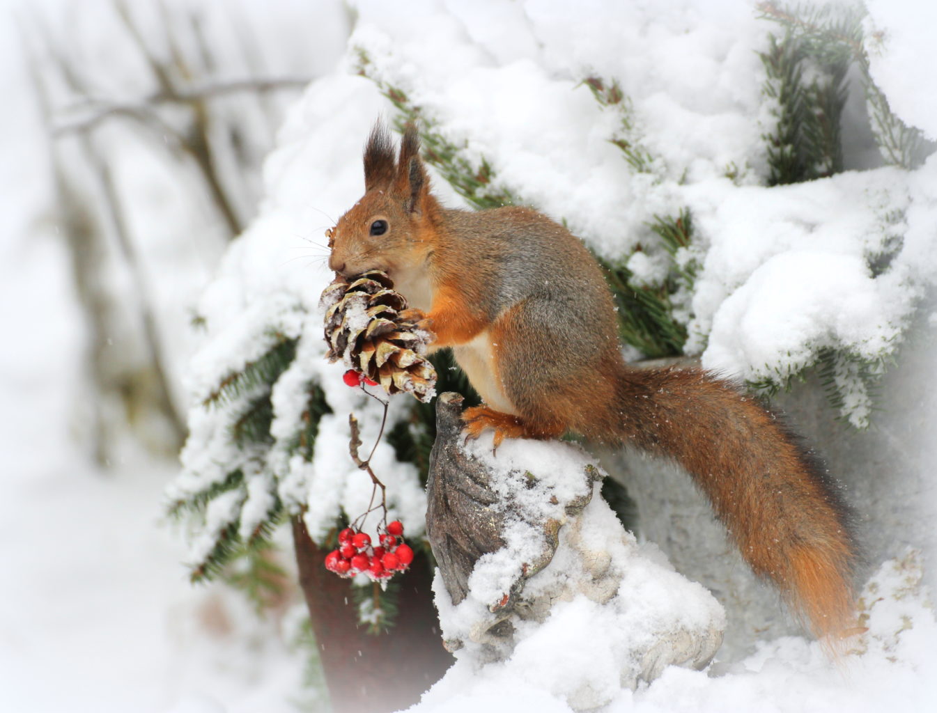 Valokuvaaja: Irja lehtinen