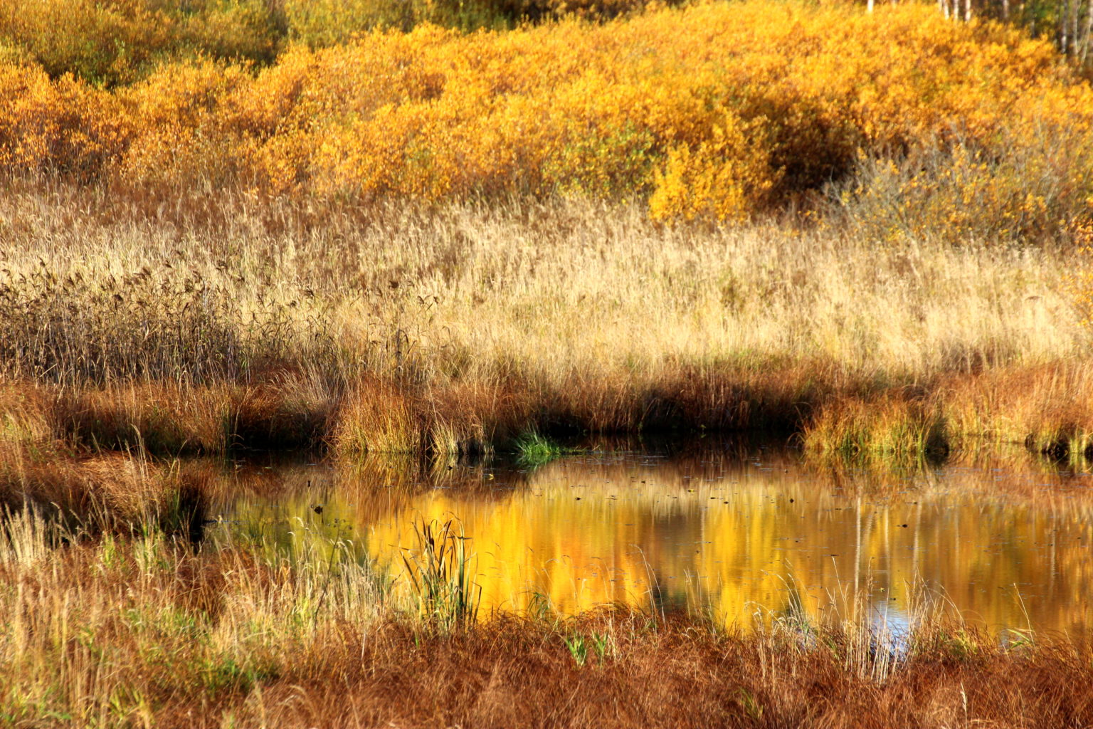 Valokuvaaja: Irja lehtinen