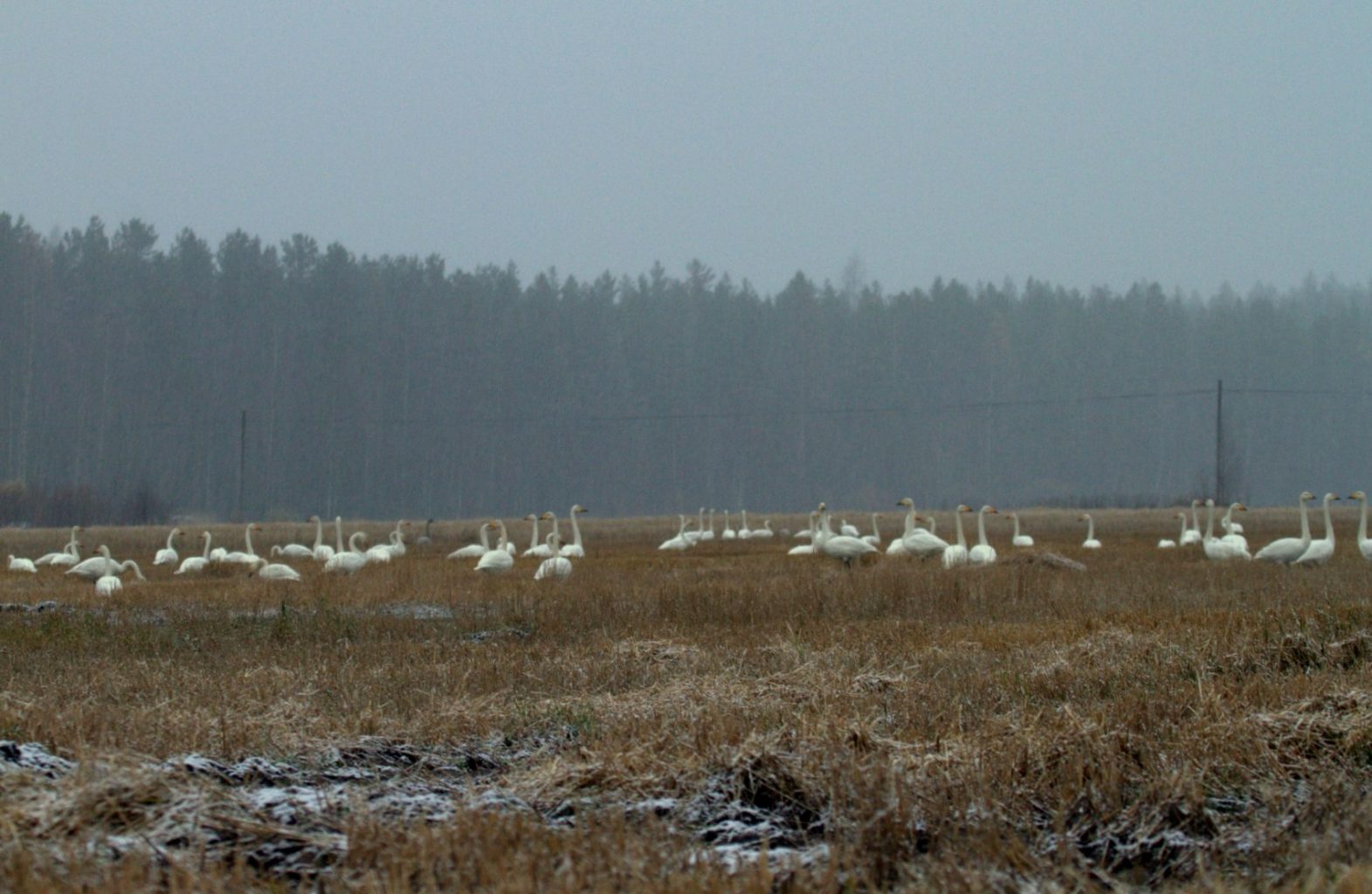 Valokuvaaja: Sirpa Jyske