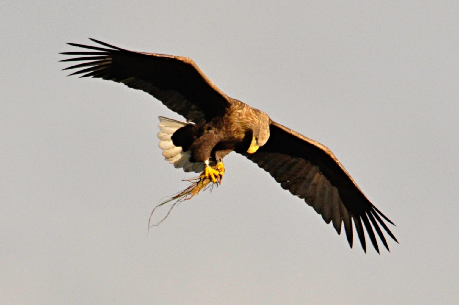 Valokuvaaja: Jenni Merilä