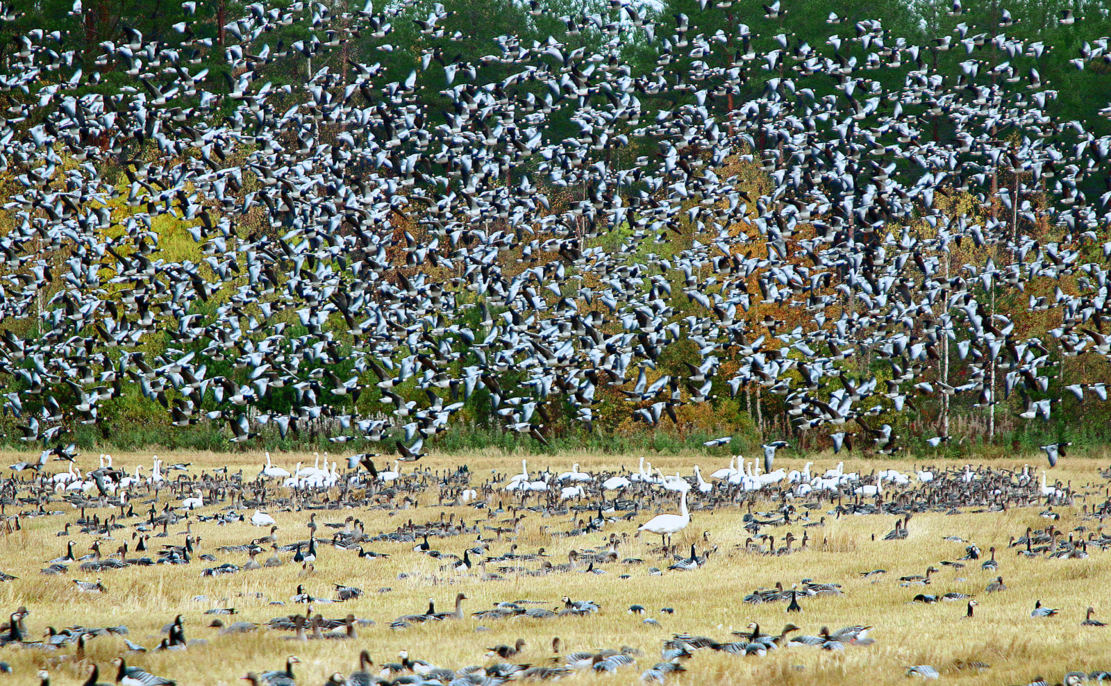 Valokuvaaja: Jukka Vaittinen