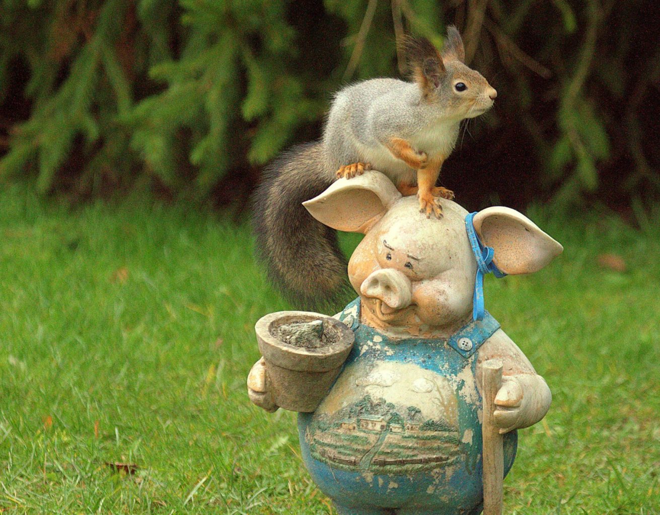 Valokuvaaja: Sirpa Jyske