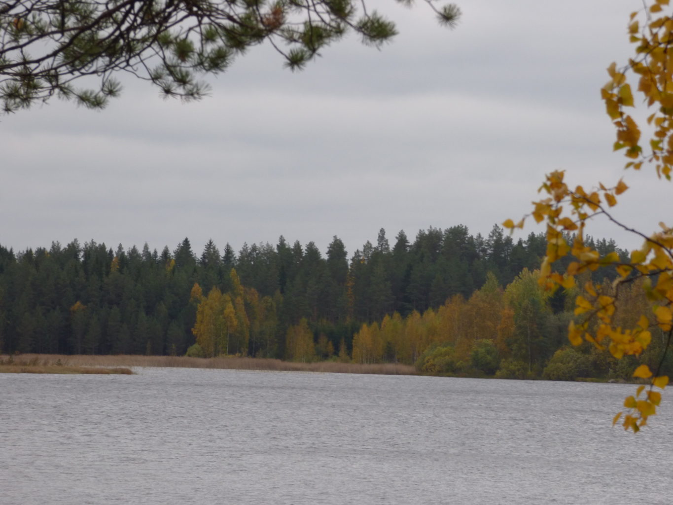 Valokuvaaja: Hannu Rissanen Valokuvaaja: Hannu Rissanen