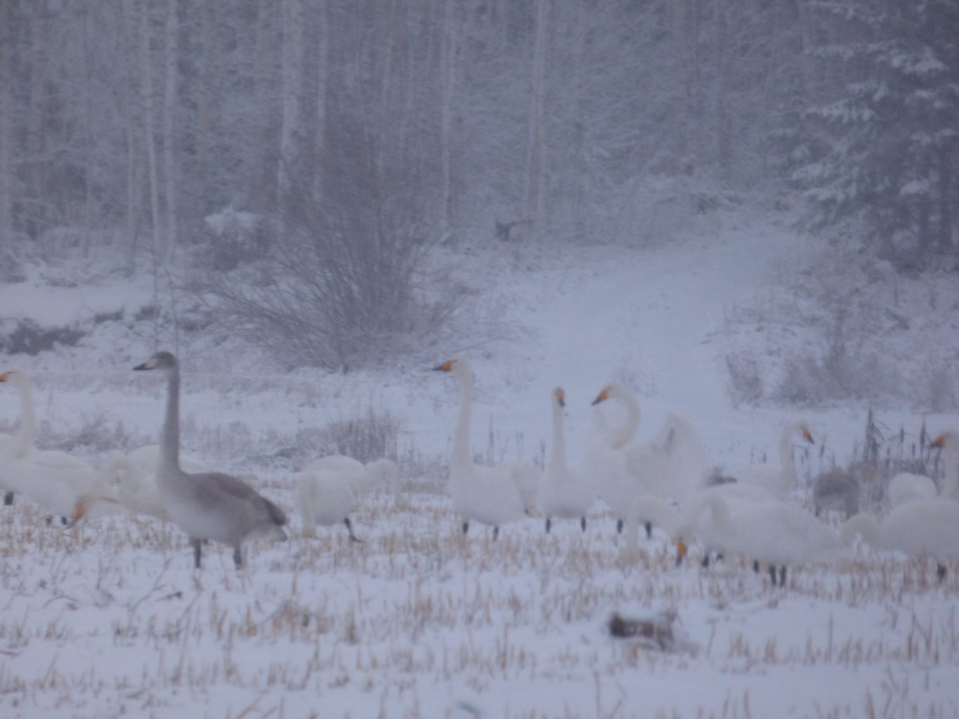 Valokuvaaja: Hannu Rissanen