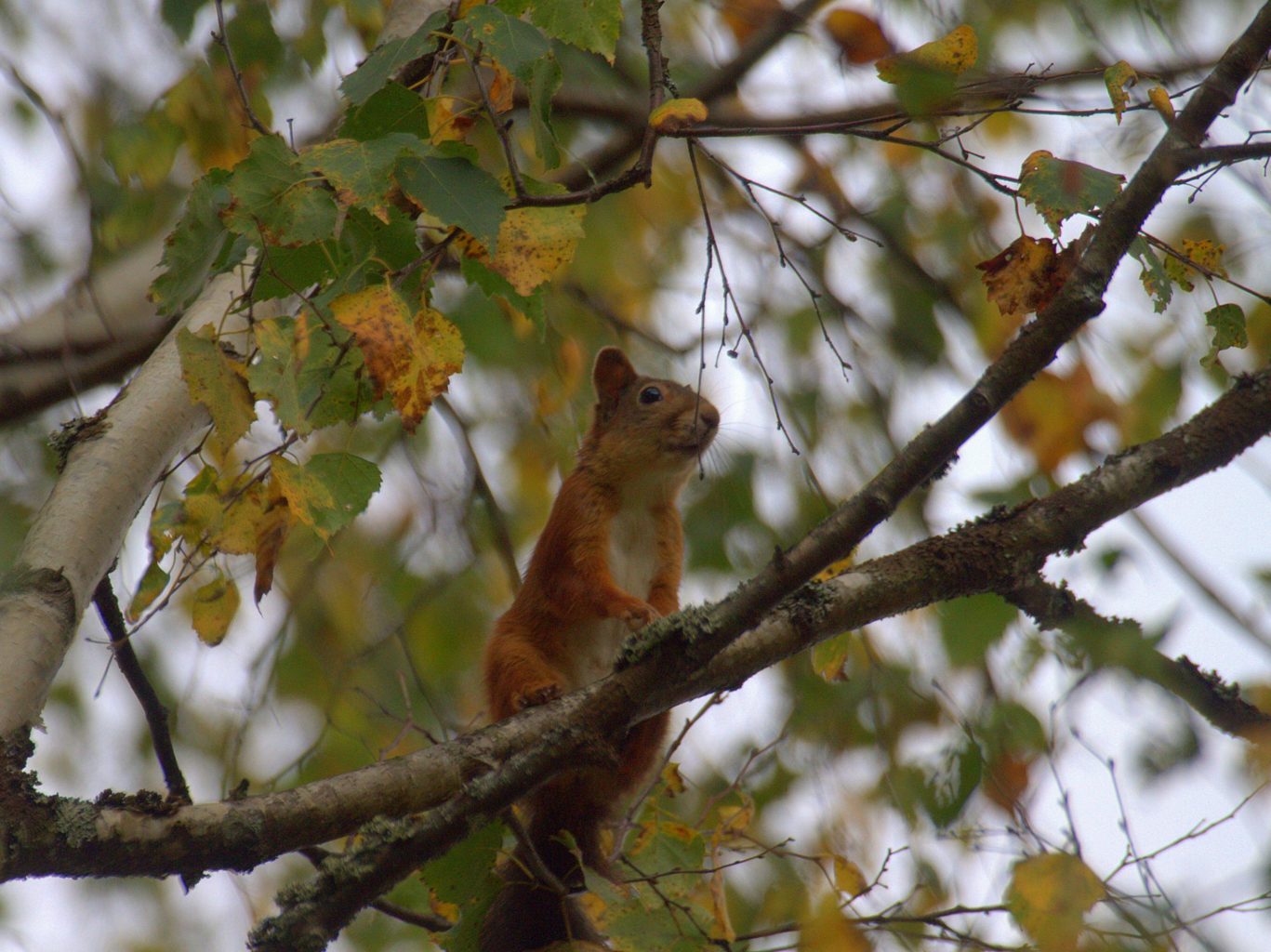 Valokuvaaja: Sirpa Jyske