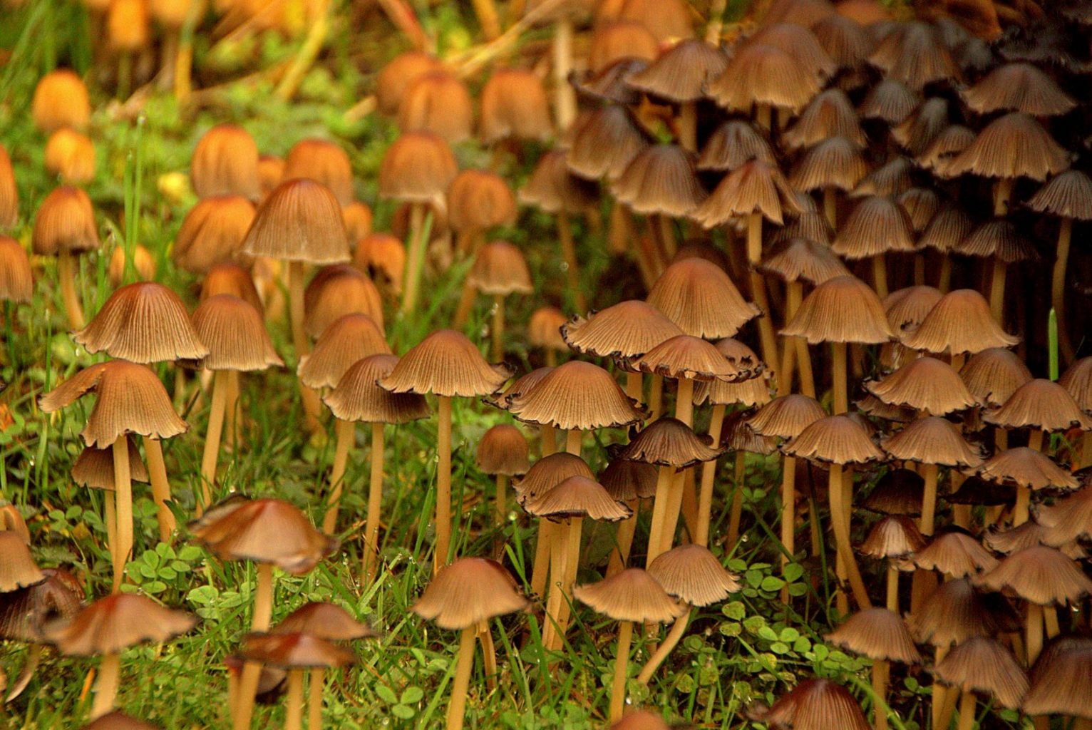 Valokuvaaja: Sirpa Jyske