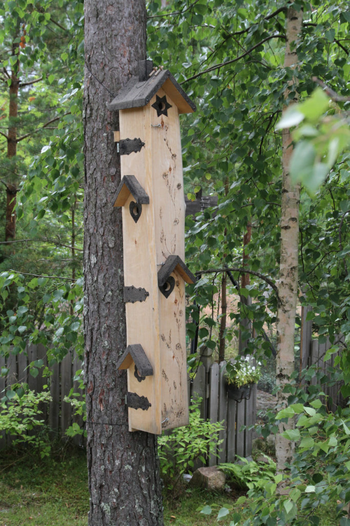 Valokuvaaja: Esko Maasalo