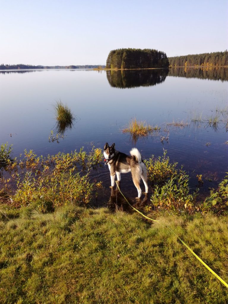 Valokuvaaja: Satu Kakko