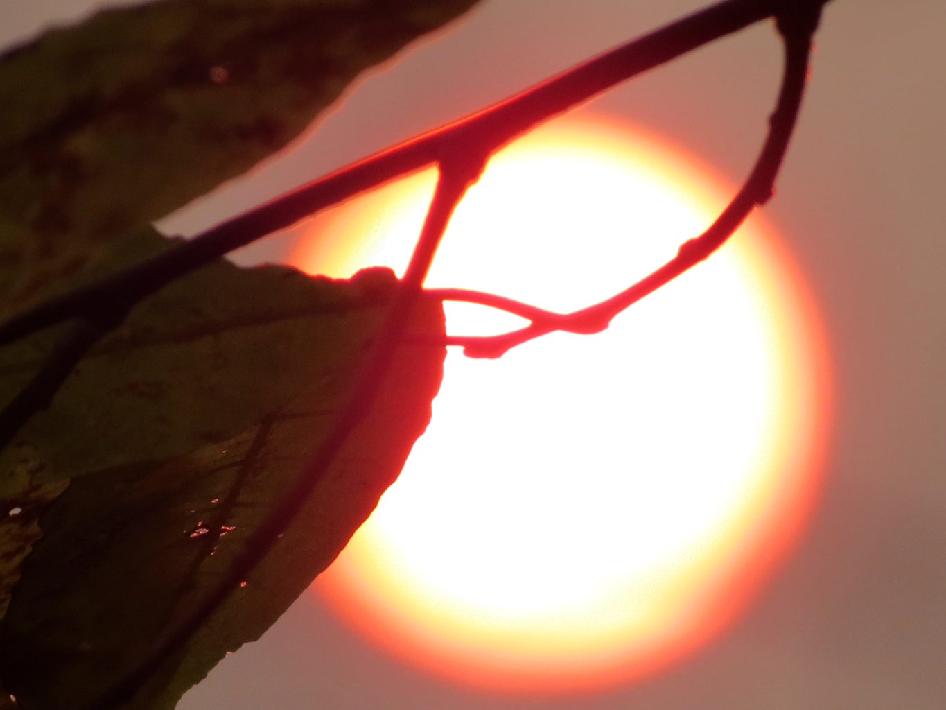 Valokuvaaja: Päivi Torkki Valokuvaaja: Päivi Torkki