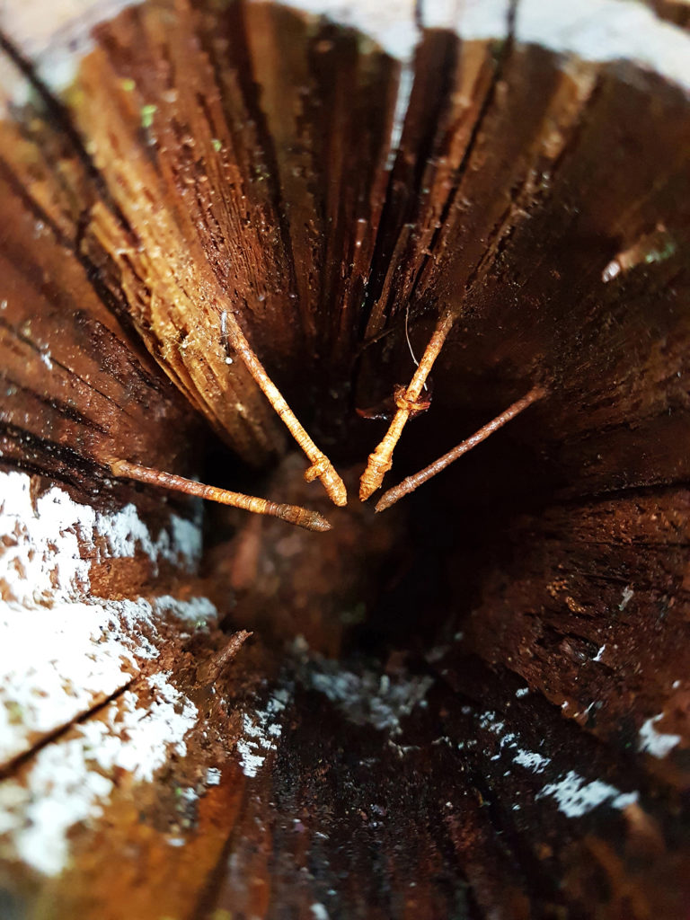 Valokuvaaja: Mirva Inkilä