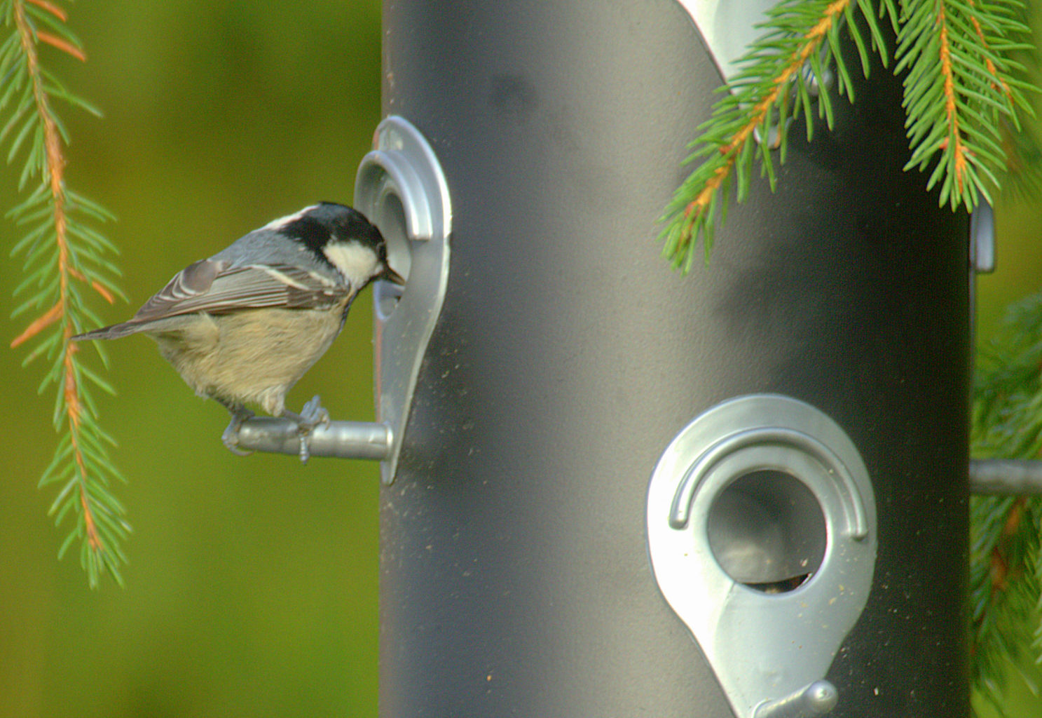 Valokuvaaja: Sirpa Jyske
