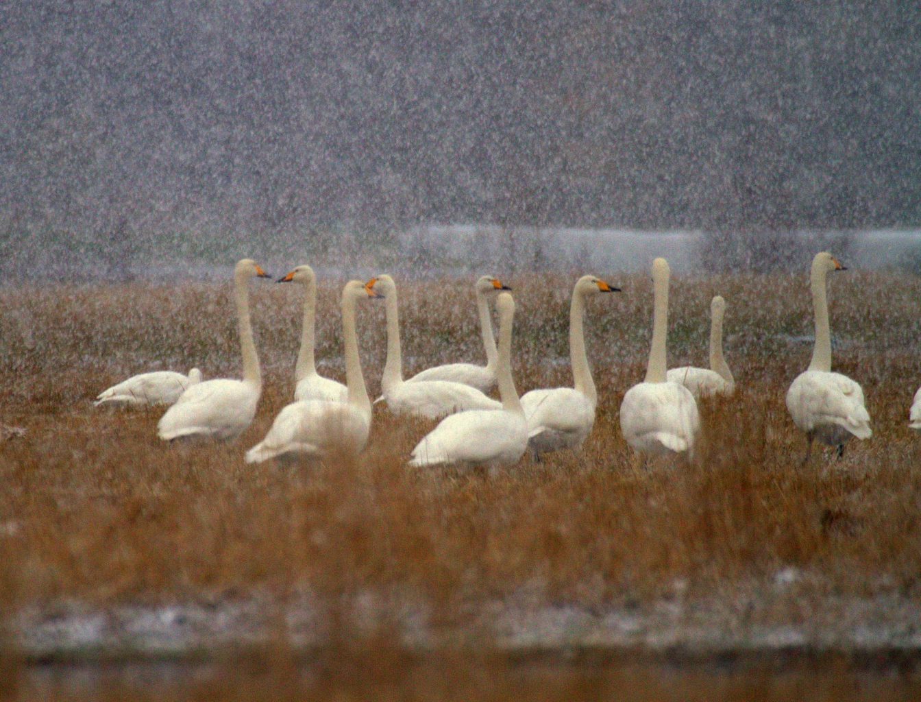 Valokuvaaja: Sirpa Jyske Valokuvaaja: Sirpa Jyske