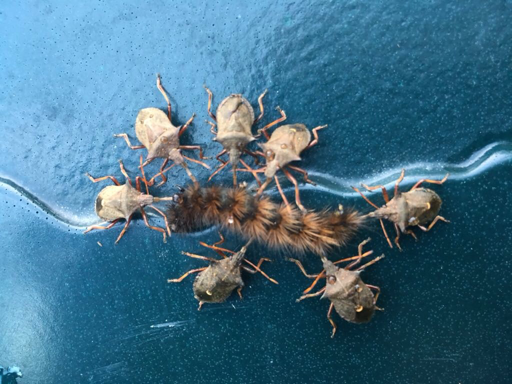 Valokuvaaja: Leila Pohjola