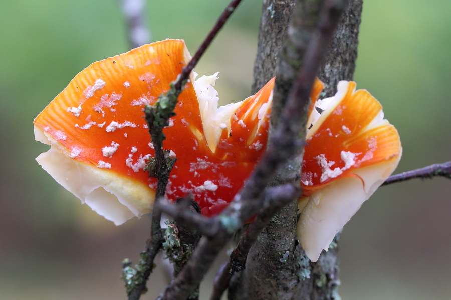 Valokuvaaja: Hanna Järvinen