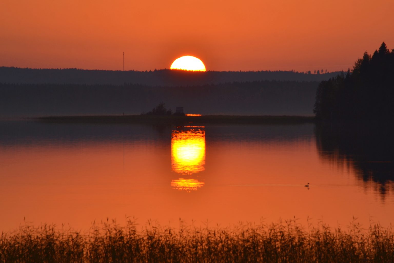 Valokuvaaja: Leena Rissanen