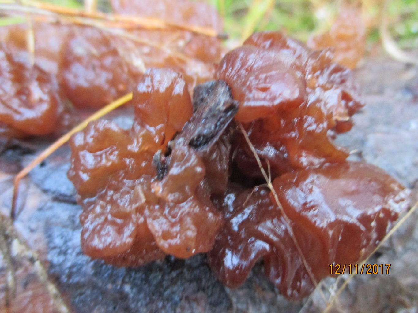 Valokuvaaja: yrjo lukkari