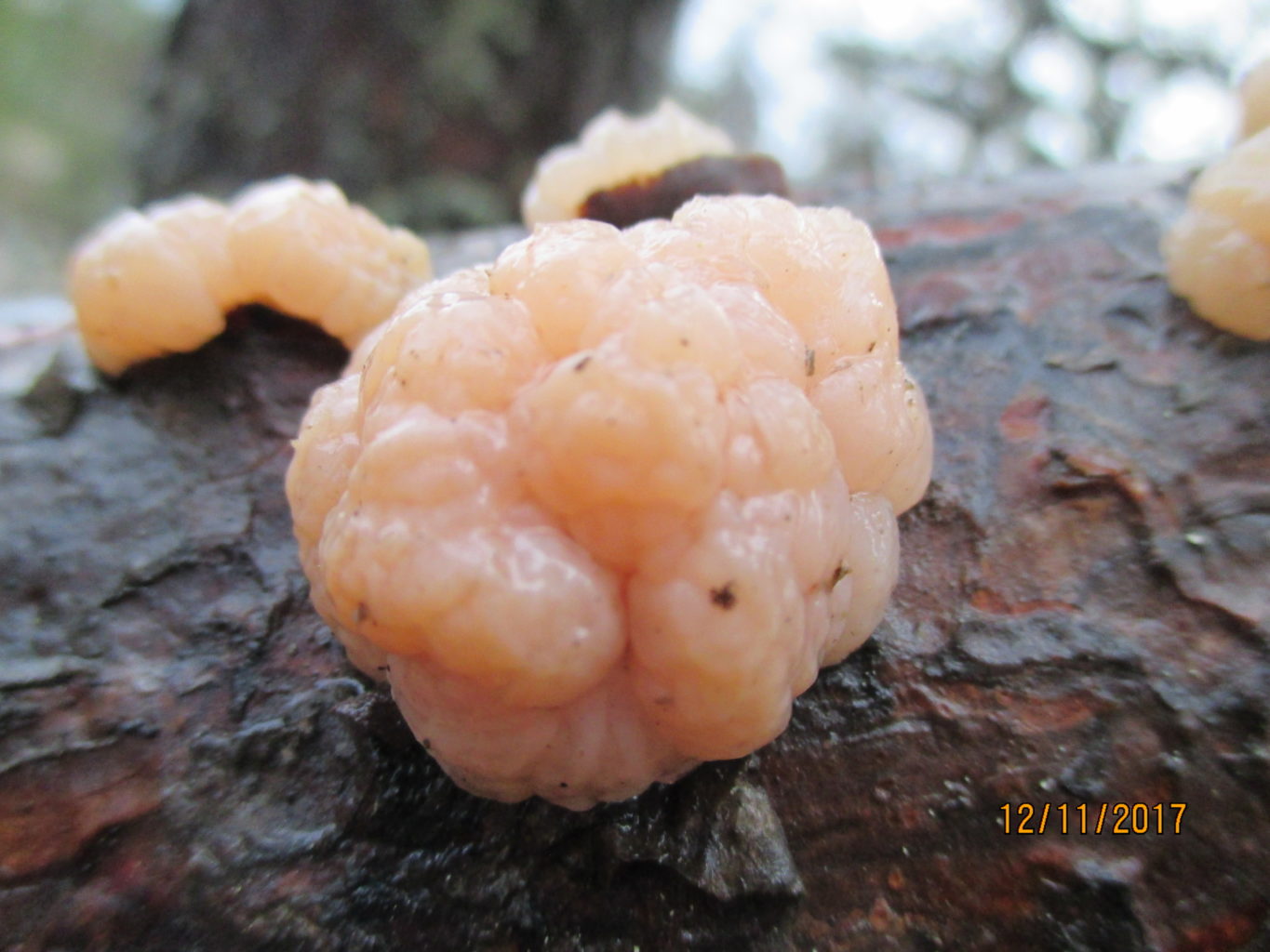 Valokuvaaja: yrjo lukkari