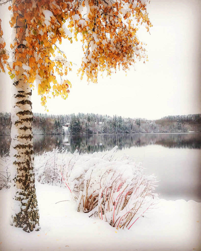 Valokuvaaja: Anne Patana Valokuvaaja: Anne Patana