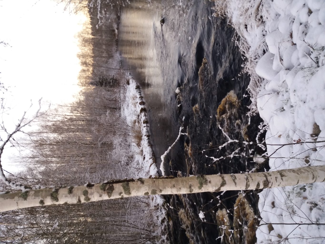 Valokuvaaja: Anne karppanen