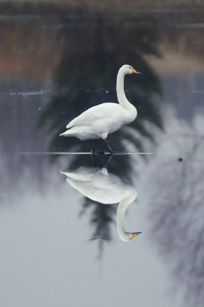 Valokuvaaja: Anne Moilanen